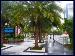 There are several palms in Zhujiang New Town.